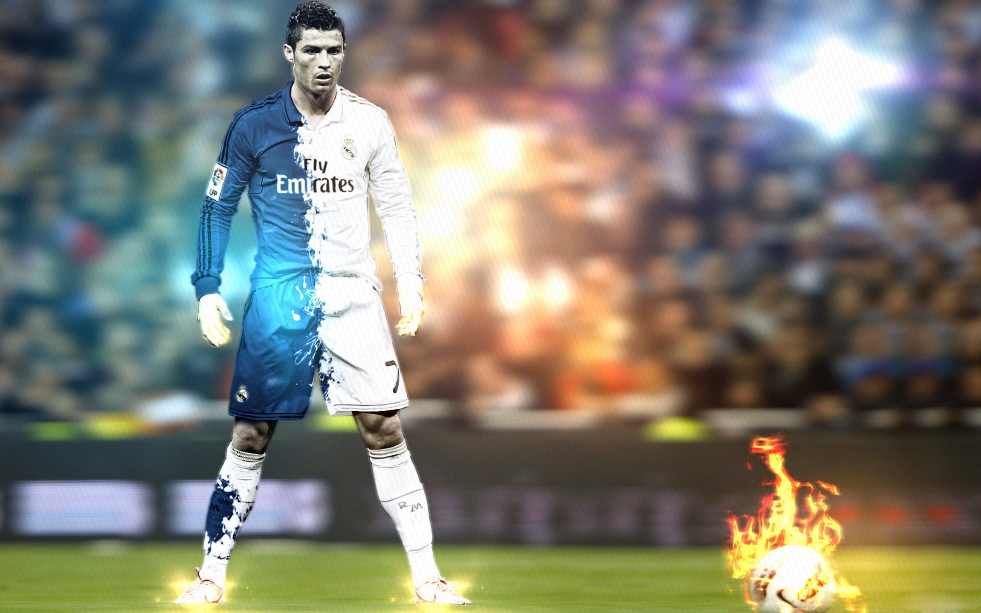 _野生动植物保护跑：运动与环保双赢_，野生动植物保护宣传海报